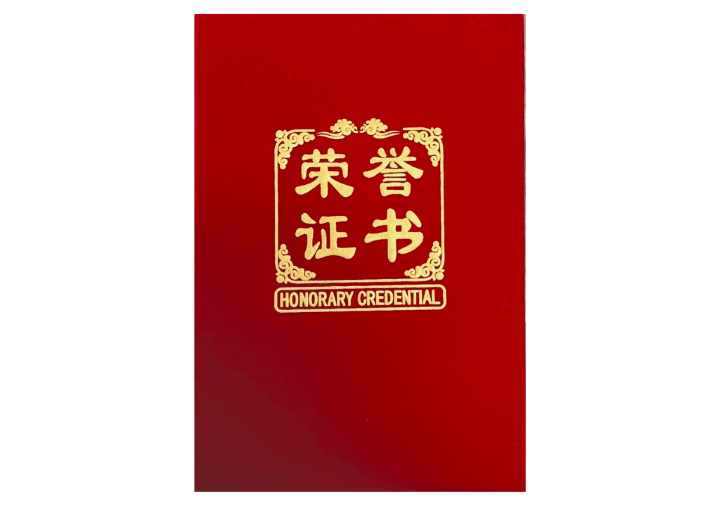 Chongqing University of Posts and Telecommunications рус 4